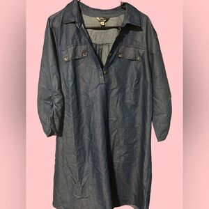 Mlle Gabrielle Chambray Shirt Dress - Blue